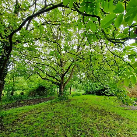 Hébergement de vacances Studio Cosy - Saint-saturnin Saint-Saturnin (Sarthe)